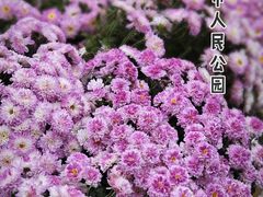 -成都市人民公园