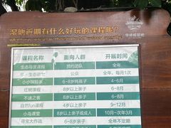 -华侨城湿地公园