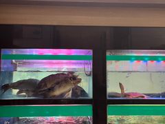 -西秀印象(东郡一品店)