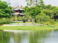 -四海公园(南山区)