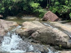 -广州白江湖森林公园