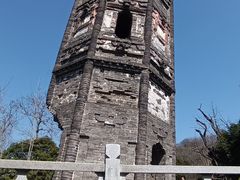 -上海佘山国家森林公园天马山园