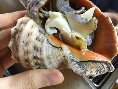 韩式海螺-丹东特色烤肉(学府路一部店)
