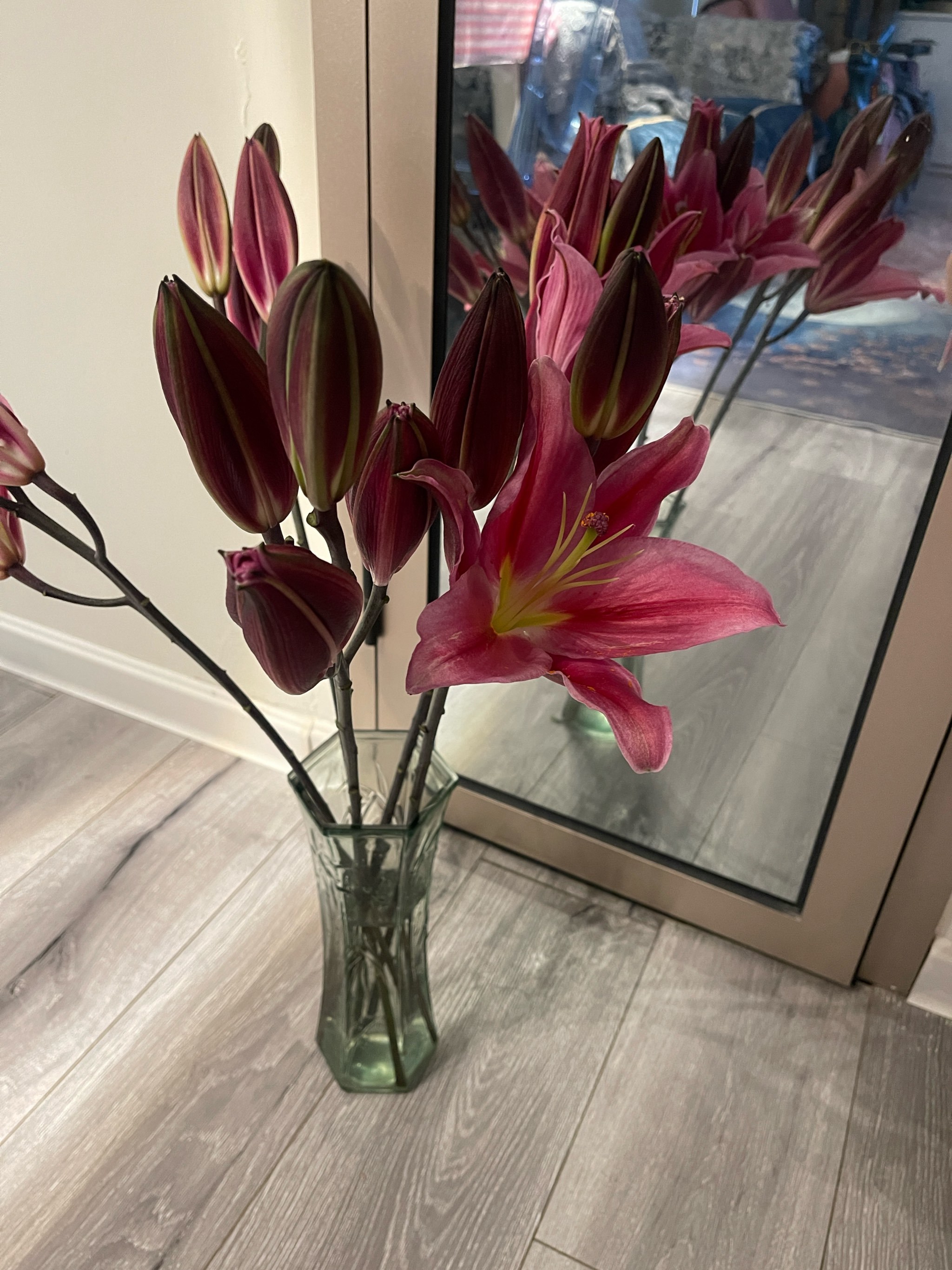 解锁黄色花芯の黑珍珠百合!