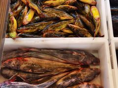 -江湖水乡铁锅炖魚(周庄嘉园店)