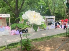 -洛阳市隋唐城遗址植物园