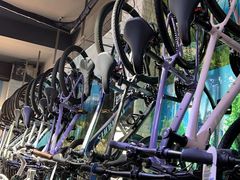 -GIANT捷安特自行车专卖店(金桥台儿庄路店)