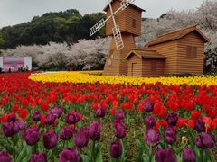 -上方山森林动物世界