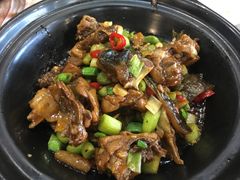 -椿记烧鹅(叠彩店)