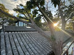-糖房咖啡(南锣鼓巷店)