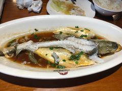 -周麻婆·川式小炒(宁德蕉城南路店)