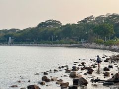 -深圳湾公园(南山区)