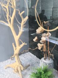 -木北造型