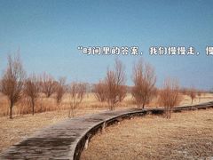 -野鸭湖国家湿地公园