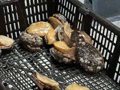 -养牛邓·潮汕牛肉海鲜自助火锅(广州店)