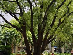 -徐家汇源景区-衡山公园