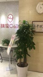 -银座Calla日式美容沙龙