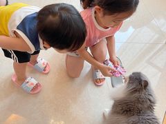 -Catmate·猫肥家润(金润铂宫店)