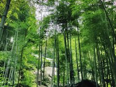 -山沟沟景区