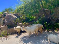 -白草畔自然风景区