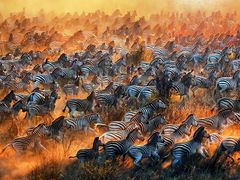 -罗红摄影艺术馆