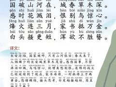 -新爱婴早教·托班·幼小衔接(彭浦临汾店)