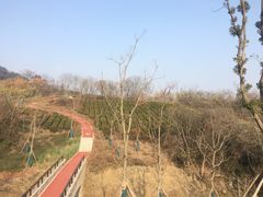 -南京市江宁方山
