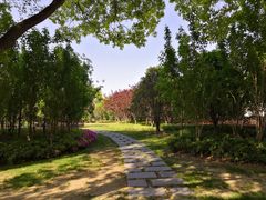 -上海市龙华烈士陵园