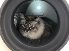 -怪兽屋·羊驼·猫咖·狗咖(俊华广场店)