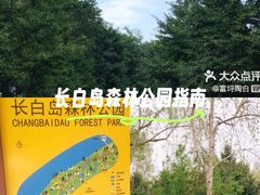 -长白岛森林公园