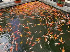 -番禺宾馆丽苑厅