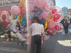 -溪岸路花鸟市场