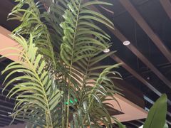 -汉丽斯巴西烤肉自助(市南店)