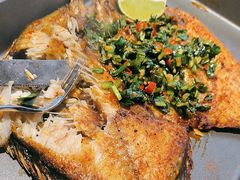 -云海肴·汽锅鸡·云南菜(天山百盛优客店)