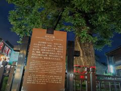 -青州古城