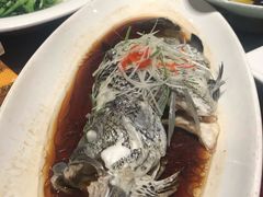 -碧丽宫大酒店(召稼楼店)