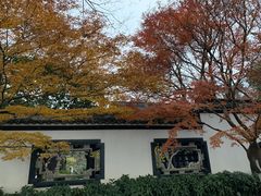 -西湖游船