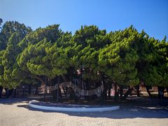 -旅顺留声机博物馆