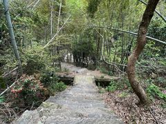 -庐山碧龙潭风景区
