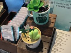 -星巴克(北京西大望路温特莱店)