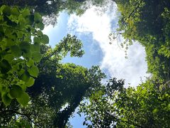 -中岜朗天坑(CV GEO INDO RAYA)