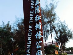 -宝安西湾红树林湿地公园