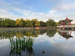 -长春市南湖公园