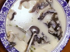 -全乐鱼馆·淳牌有机鱼直营店