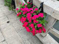 -绿洲雅宾利花园