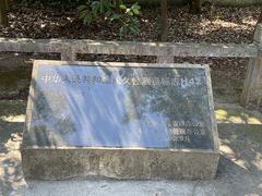 -上海佘山国家森林公园天马山园