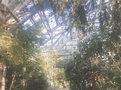 -南山植物园