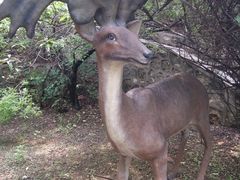 DSC08610-北京周口店北京人遗址博物馆