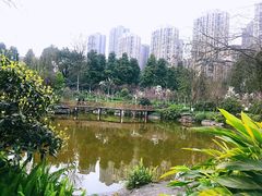 -龙头寺公园