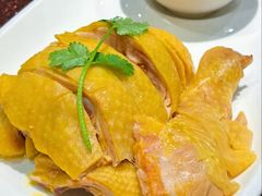 水晶白切鸡-绿雅酒家(江西中路店)